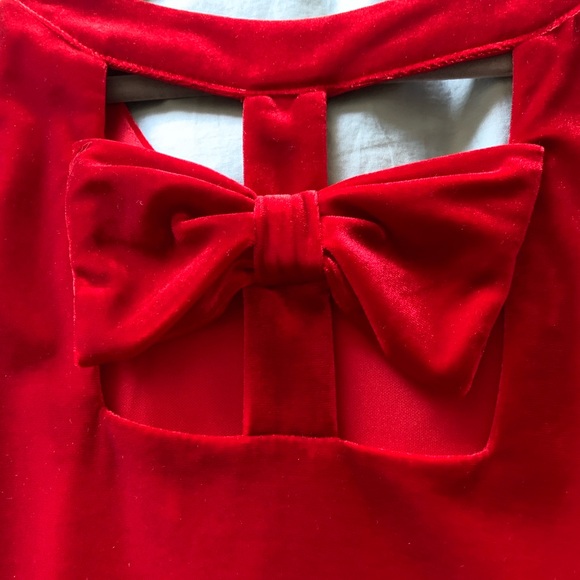 Fancy Party Dress with Velvet Bow and Roses - Picture 4 of 5